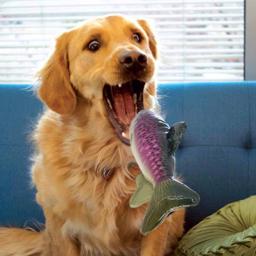 KONG Shieldz Wild Öring Gosedjur För Hunden